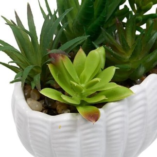 Composition Ocea 20cm pot coquillage blanc