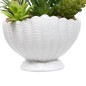 Composition Ocea 20cm pot coquillage blanc