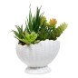 Composition Ocea 20cm pot coquillage blanc