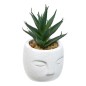Plante grasse Teri 13cm pot ciment blanc