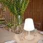 Lampe extérieure rechargeable USB 20cm blanc