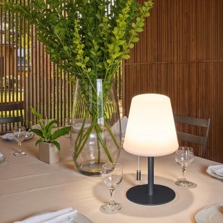 Lampe extérieure rechargeable USB 20cm gris