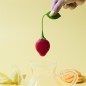 INFUSEUR A THE FORME FRAISE