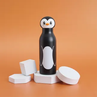 BOUTEILLE DE TRANSPORT ISO SWIIGO FRIENDS 40CL