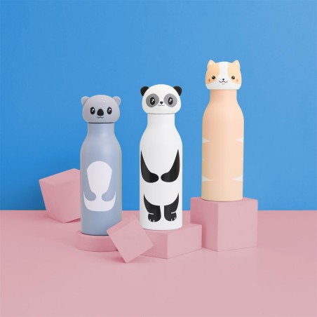 BOUTEILLE DE TRANSPORT ISO SWIIGO KAWAII 40CL