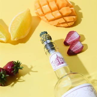 BOUCHON BOUTEILLE DE VIN FORME FRUIT