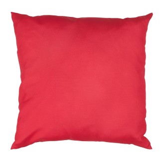 COUSSIN DEPERLANT AMOR POR FAVOR 40X40CM