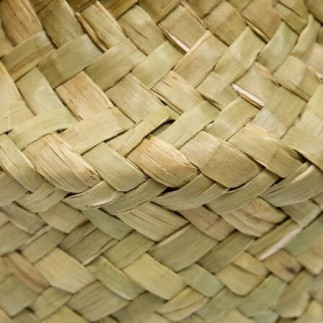 Composition marguerites Tifi 20 cm