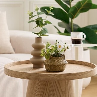 Composition marguerites Tifi 20 cm