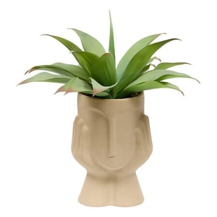 Agave artificielle Sien 48cm pot céramique visage