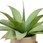 Agave artificielle Sien 48cm pot céramique visage