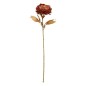 Tige pivoine marron