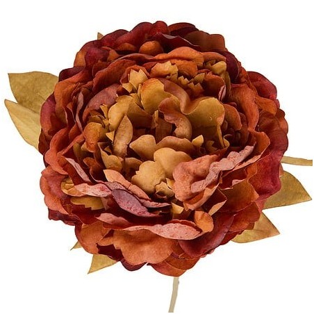 Tige pivoine Fria haut 76 cm artificielle pas cher