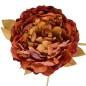 Tige pivoine marron