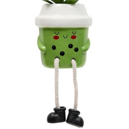 Plante Kawai 20cm avec pot céramique Cup vert