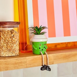 Plante Kawai 20cm avec pot céramique Cup vert