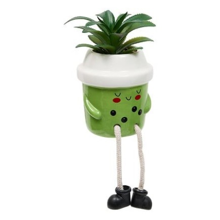 Plante Kawai 20cm avec pot céramique Cup vert