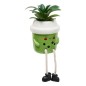 Plante Kawai 20cm avec pot céramique Cup vert