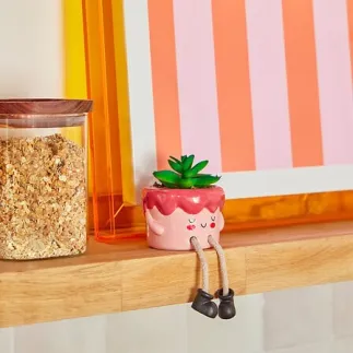 Plante Kawai 20cm avec pot céramique gateau rose