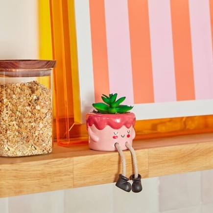 Plante Kawai 20cm avec pot céramique gateau rose