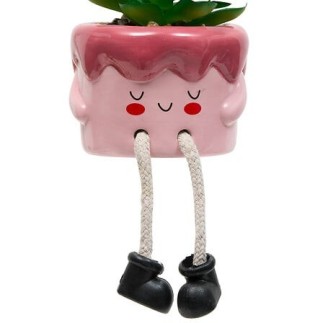 Plante Kawai 20cm avec pot céramique gateau rose