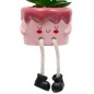 Plante Kawai 20cm avec pot céramique gateau rose