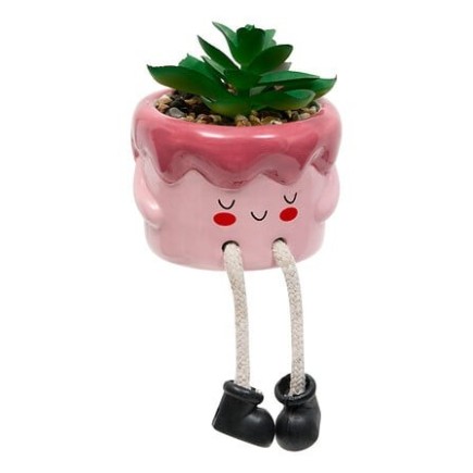 Plante Kawai 20cm avec pot céramique gateau rose