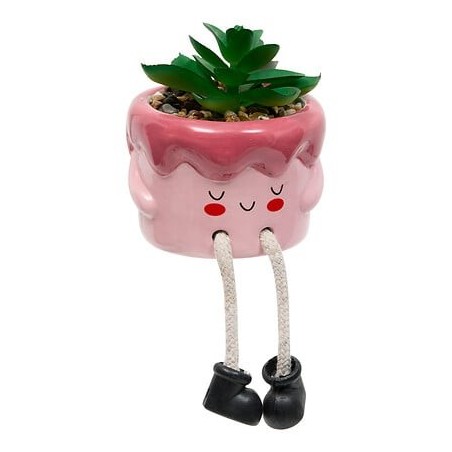 Plante Kawai 20cm avec pot céramique gateau rose