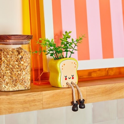 Plante Kawai 20cm avec pot céramique tartine