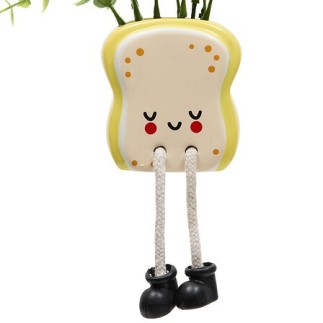 Plante Kawai 20cm avec pot céramique tartine