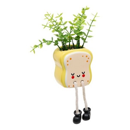 Plante Kawai 20cm avec pot céramique tartine