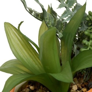 Composition Poolside 31cm jardinière orange