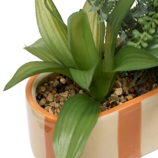 Composition Poolside 31cm jardinière orange