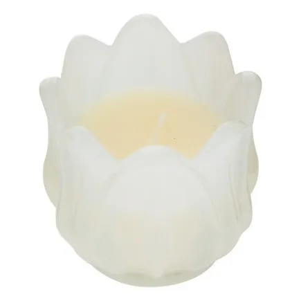 Bougie parfumée Fleur de Rose 75 g pot