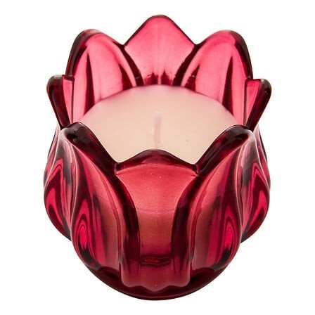 Bougie parfumée Fleur de Rose 75 g pot