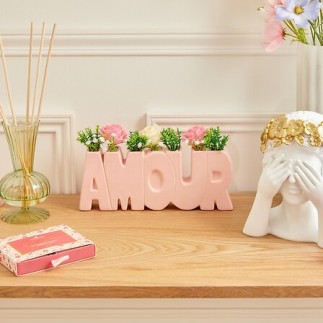 Composition Fleur de Rose 26cm pot Amour rose