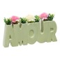 Composition Fleur de Rose 26cm pot Amour vert