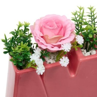 Composition Fleur de Rose 26cm pot Amour vert